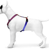 MORSO DOG HAREN H-HER Recyclé Urban Lizard Red