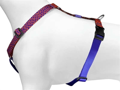 MORSO DOG HAREN H-HER Recyclé Urban Lizard Red