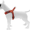 MORSO MINI DOG DUR DIFFERT RECYLEMENT RECYLEMENT RED LEZARD ROUGE