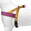 MORSO Norwegian Dog Aculator Recycle Jungle Drum Oranje