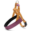 MORSO Norwegian Dog Aculator Recycle Jungle Drum Oranje