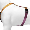 Huisse de chien MORSO