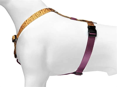 Huisse de chien MORSO