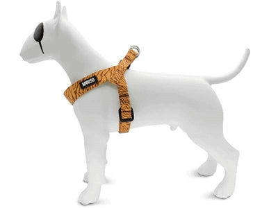 MORSO MINI DOG DIFFERT RÉGLABLE RÉGLABLE RECYLLED DUMGLE ORANGE