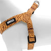 MORSO MINI DOG DIFFERT RÉGLABLE RÉGLABLE RECYLLED DUMGLE ORANGE