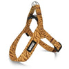 MORSO MINI DOG DIFFERT RÉGLABLE RÉGLABLE RECYLLED DUMGLE ORANGE