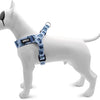 MORSO MINI DOG DIFFORMABLE RÉGLABLE RÉGLABLE BLEU BLEU