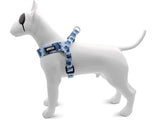 MORSO MINI DOG DIFFORMABLE RÉGLABLE RÉGLABLE BLEU BLEU - afbeelding 2