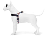 MORSO Norwegian Dog Harvest Recycled Spaghetti Incident - afbeelding 2