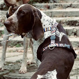 Harness de chien Morso H-Her Incident de spaghetti recyclé - afbeelding 3