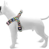 MORSO MINI DOG DIFFORMER ALIGNAGE RECYCLLED SPAGHETTI