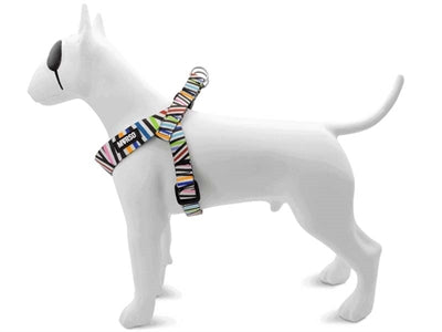 MORSO MINI DOG DIFFORMER ALIGNAGE RECYCLLED SPAGHETTI