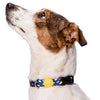 MORSO Collar Dog Recycled Color Invaders Purple