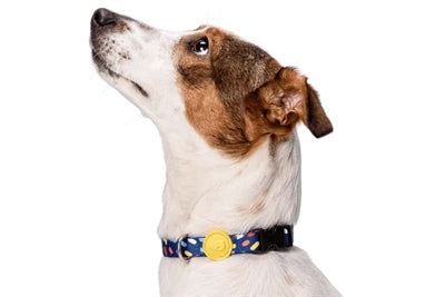 MORSO Collar Dog Recycled Color Invaders Purple