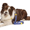 MORSO DOG LASH Recycled Color Invaders Purple