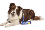 MORSO DOG LASH Recycled Color Invaders Purple - afbeelding 3