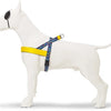 MORSO NORWEGIAN DOG CONSTER RECYLLED COULEUR PROPLE
