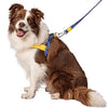 MORSO NORWEGIAN DOG CONSTER RECYLLED COULEUR PROPLE