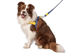 MORSO NORWEGIAN DOG CONSTER RECYLLED COULEUR PROPLE - afbeelding 2