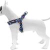 MORSO MINI DOG DIFFORMER COULEUR RECYCLEMENT RÉGLABLE ENvADER