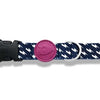 MORSO Collar Dog Recycled Power Flow Black