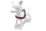 MORSO Norwegian Dog Aculator Recycled Power Flow Black - afbeelding 3