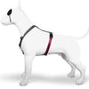 MORSO DOG HAREN H-HER Recycled Power Flow Black