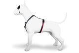 MORSO DOG HAREN H-HER Recycled Power Flow Black - afbeelding 2