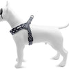 MORSO MINI DOG DIFFORMER HARD RECYCLLED Recycled Flow Black