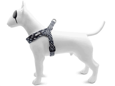 MORSO MINI DOG DIFFORMER HARD RECYCLLED Recycled Flow Black