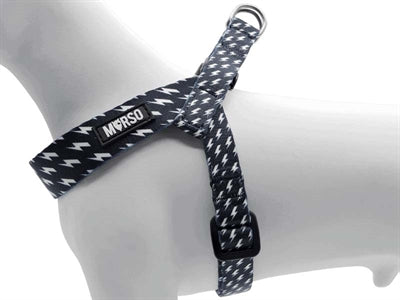 MORSO MINI DOG DIFFORMER HARD RECYCLLED Recycled Flow Black
