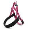 MORSO NORWEGIAN DOG plus dur recyclé bulle leo rose