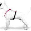 MORSO DOG HARNESS H-HEM Recyclé Bubble Leo Pink