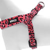 MORSO MINI DOG DUR HURD REGLABLE RECYLLED Bubble Leo Pink