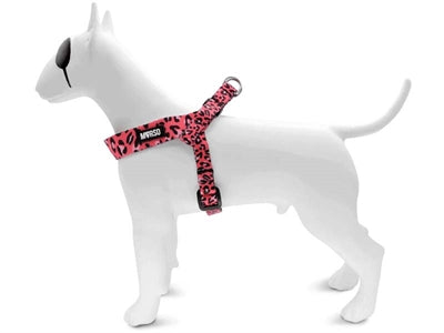 MORSO MINI DOG DUR HURD REGLABLE RECYLLED Bubble Leo Pink