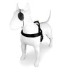 MORSO NORWEGIAN DOG plus dur recyclé or caviar or
