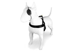 MORSO NORWEGIAN DOG plus dur recyclé or caviar or - afbeelding 2