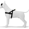 MORSO NORWEGIAN DOG plus dur recyclé or caviar or