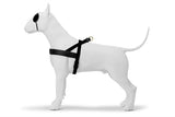 MORSO NORWEGIAN DOG plus dur recyclé or caviar or - afbeelding 1