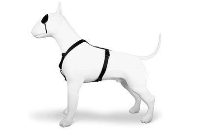 MORSO DOG HARNESS H-HER Recyclé Gold Caviar Gold