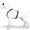 MORSO DOG HARNESS H-HEM Recyclé Prure noir