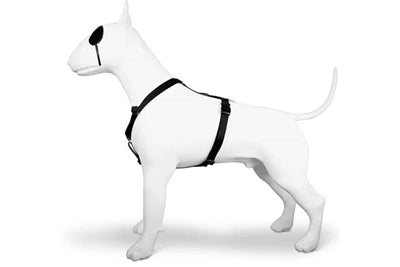 MORSO DOG HARNESS H-HEM Recyclé Prure noir
