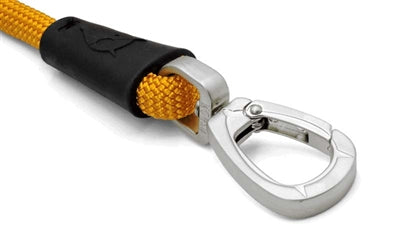 Morso Dog Lash Rope Rope recyclé or Gold