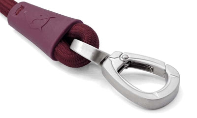 Ceinture de chien MORSO PRUM PRUMPLE ROPIE
