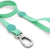 Morso Dog Lash Imperproof Recycle Recycle Carribe Green Groen