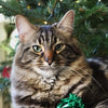 Cupidon Comet Christmas Bock avec 5 balles