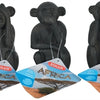 ZOLUX ORNAMENT Afrique AAP
