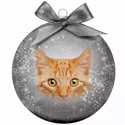 APPONDANT CADEAUX BALLE DE NOIND CAT ROUGE GRATÉ GRIN