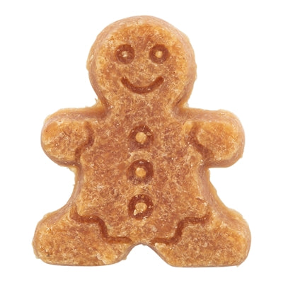 Trixie Noël Gingerkoekman et le poulet de canard d'arbre de Noël