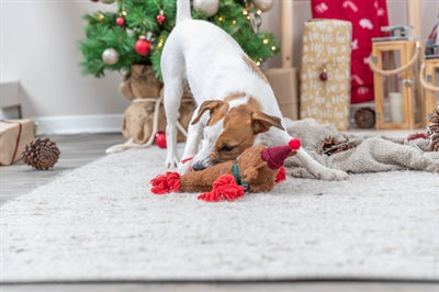 Trixie Noël Flostouw